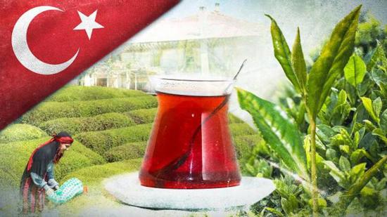 صادرات الشاي التركي تحقق قفزة نوعية في يناير 2025 صادرات الشاي التركي تحقق قفزة نوعية في يناير 2025