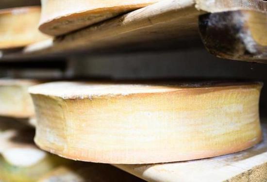 الجفاف يضرب صناعة الأجبان الفرنسية الشهيرة وتخفيف مؤقت لقواعد الإنتاج