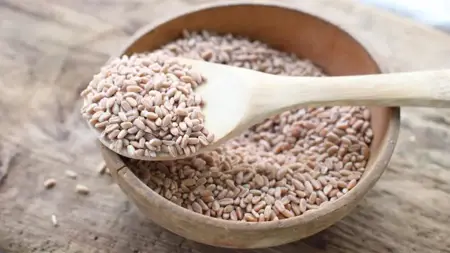 ارتفاع عالمي كبير في أسعار القمح خلال يوم واحد ارتفاع عالمي كبير في أسعار القمح خلال يوم واحد