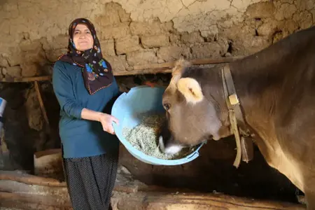 حيةٌ ترزق ولكن ميتة لدى السلطات التركية.. تعرف على قصة نعيمة غوجيباكان حيةٌ ترزق ولكن ميتة لدى السلطات التركية.. تعرف على قصة نعيمة غوجيباكان