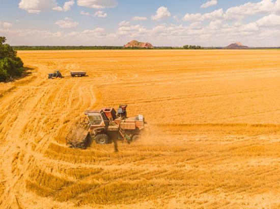 İş Bankası يكرم مزارعي القمح بجوائز تراكتور