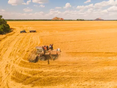 İş Bankası يكرم مزارعي القمح بجوائز تراكتور