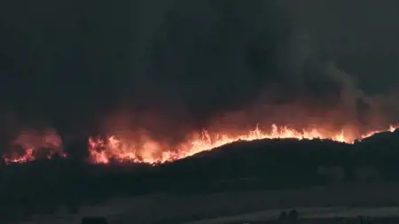 تركيا تعرض على اليونان المساعدة في مكافحة الحرائق تركيا تعرض على اليونان المساعدة في مكافحة الحرائق