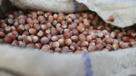 تركيا تطارد أسواقًا جديدة "للترويج للبندق" في 15 دولة تركيا تطارد أسواقًا جديدة "للترويج للبندق" في 15 دولة