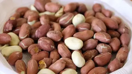 دراسة: الفول السوداني قد يساعد في علاج الزهايمر دراسة: الفول السوداني قد يساعد في علاج الزهايمر