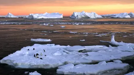 انخفاض الجليد في القارة القطبية الجنوبية إلى مستويات قياسية انخفاض الجليد في القارة القطبية الجنوبية إلى مستويات قياسية