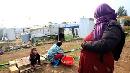 من ينجب أكثر السوريات أم الأردنيات؟.. وزارة الصحة تجيب! من ينجب أكثر السوريات أم الأردنيات؟.. وزارة الصحة تجيب!