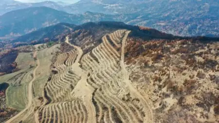 تركيا تخطط لتشجير المناطق المتضررة من حرائق بولو