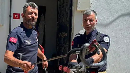 ثعبان يخرج من مغسلة منزل في أضنة ويُحدث حالة ذعر