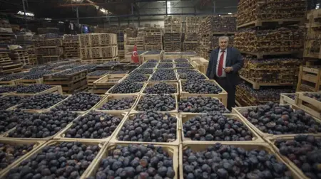 شركة أغذية تركية عملاقة تصارع الإفلاس ما السبب شركة أغذية تركية عملاقة تصارع الإفلاس ما السبب