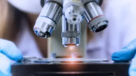 ارتفاع حجم نفقات البحث والتطوير في تركيا خلال عام 2021