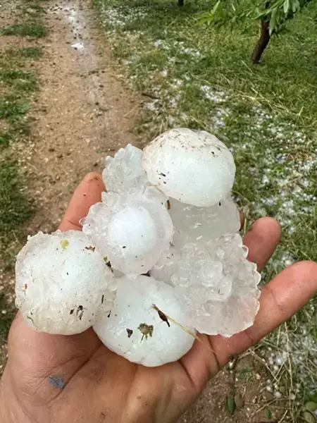 بَرَد بحجم الجوز في ولاية أديامان