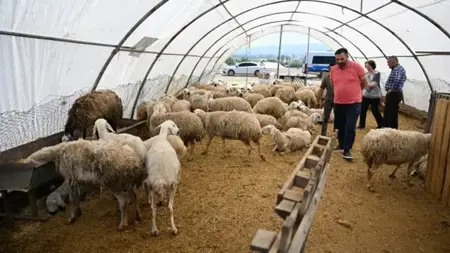 في ثاني أيام العيد.. ازدحام أماكن الذبح في أنقرة 