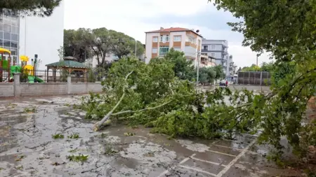 الأرصاد التركية تطلق التحذير الأصفر والبرتقالي لـ41 مدينة الأرصاد التركية تطلق التحذير الأصفر والبرتقالي لـ41 مدينة
