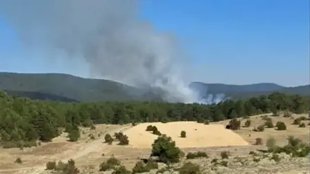 تركيا.. جهود مكثفة للسيطرة على حريق غابات في إسكيشهير تركيا.. جهود مكثفة للسيطرة على حريق غابات في إسكيشهير