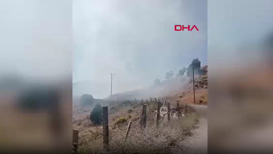 حريق يتلف نحو 4 دونمات من أرض زراعية في ألانيا التركية