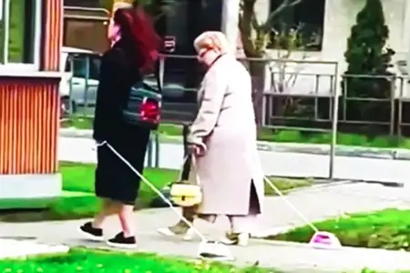 ظاهرة مثيرة للدهشة .. سيدتين تتجولان بالمكواة بدلاً القطط والكلاب ظاهرة مثيرة للدهشة .. سيدتين تتجولان بالمكواة بدلاً القطط والكلاب