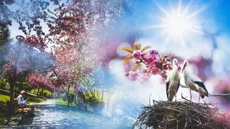 توقعات الطقس في تركيا اليوم