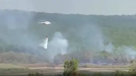 اندلاع حريق غابات هائل في تشاتالجا بإسطنبول