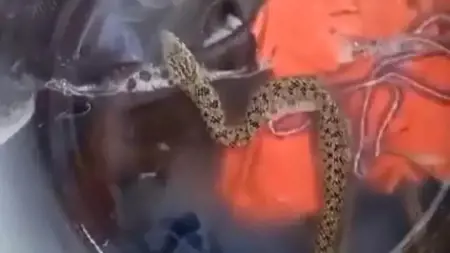 مواطن تركي يعثر على ثعبان في الغسالة أثناء غسل ملابسه مواطن تركي يعثر على ثعبان في الغسالة أثناء غسل ملابسه