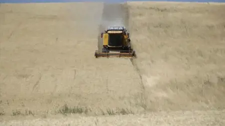 إجراءات صارمة لمنع حرائق الحقول في إسطنبول  إجراءات صارمة لمنع حرائق الحقول في إسطنبول