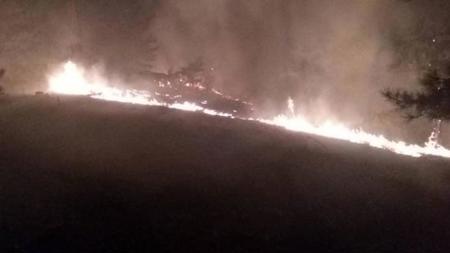اندلاع حريق في غابة بولاية موغلا