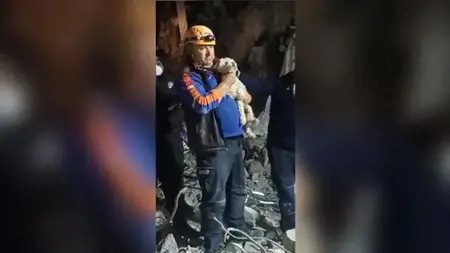 إنقاذ كلب على قيد الحياة في هاتاي بعد مرور 25 يومًا على الزلزال المدمر إنقاذ كلب على قيد الحياة في هاتاي بعد مرور 25 يومًا على الزلزال المدمر