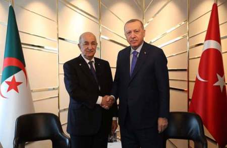 أردوغان يبحث مع نظيره الجزائري وقف العدوان الصهيوني في فلسطين