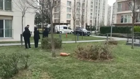 إسطنبول.. انتحار أب وأطفاله الثلاثة بسبب مغادرة زوجته إسطنبول.. انتحار أب وأطفاله الثلاثة بسبب مغادرة زوجته