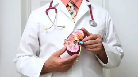 توقعات بزيادة عمليات زرع الكلى في تركيا هذا العام توقعات بزيادة عمليات زرع الكلى في تركيا هذا العام