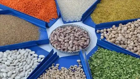 قفزة نوعية في صادرات قطاع الحبوب في تركيا  قفزة نوعية في صادرات قطاع الحبوب في تركيا