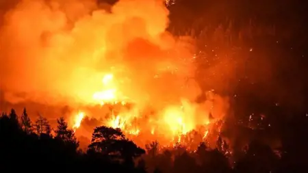 تقرير رسمي: 90% من حرائق الغابات في تركيا سببها البشر تقرير رسمي: 90% من حرائق الغابات في تركيا سببها البشر