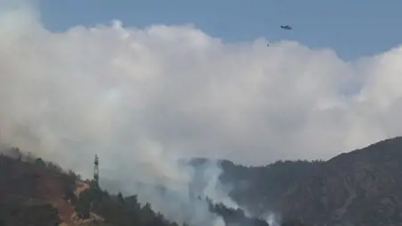 اعتقال 4 أشخاص لتورطهم في إشعال حرائق بغابات هاتاي اعتقال 4 أشخاص لتورطهم في إشعال حرائق بغابات هاتاي