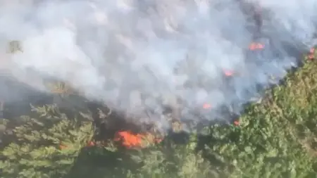 حرائق غابات في منطقتين بأنطاليا وجهود مكثفة للسيطرة عليها حرائق غابات في منطقتين بأنطاليا وجهود مكثفة للسيطرة عليها