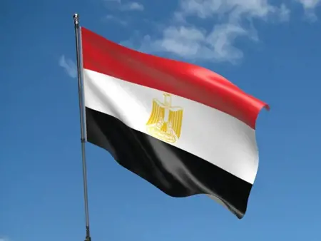 مصر تنفي بشكل قاطع أي دور لها في تهجير الفلسطينيين من غزة مصر تنفي بشكل قاطع أي دور لها في تهجير الفلسطينيين من غزة