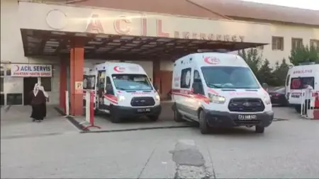 نهاية مأساوية لطفل عثر على جسم غريب في أحد حقول شرناق التركية وأحضره إلى المنزل نهاية مأساوية لطفل عثر على جسم غريب في أحد حقول شرناق التركية وأحضره إلى المنزل