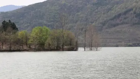 تركيا ..ارتفاع منسوب المياه في سد يوفاجيك بولاية كوجالي تركيا ..ارتفاع منسوب المياه في سد يوفاجيك بولاية كوجالي