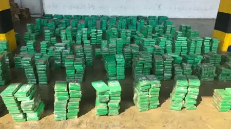 إنتاج الكوكايين العالمي يصل إلى مستوى قياسي