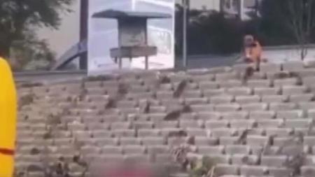 فئران عملاقة تغزو أحد أحياء إسنيورت باسطنبول