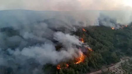 توقيف 39 مشتبهًا في حرائق الغابات بتركيا توقيف 39 مشتبهًا في حرائق الغابات بتركيا