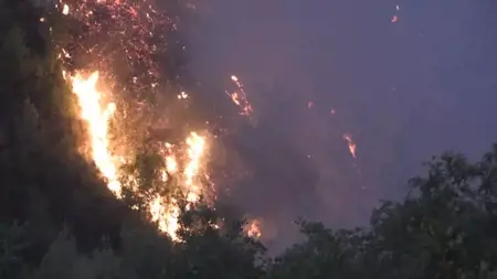 سيطرة على حريق غابات في Arsuz بـهاتاي بعد 12 ساعة