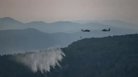 تركيا تعلن سيطرتها على حريق الغابات في جناق قلعة تركيا تعلن سيطرتها على حريق الغابات في جناق قلعة