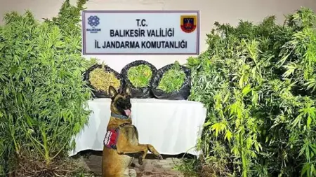 القبض على عصابة إجرامية خطيرة في باليكسير القبض على عصابة إجرامية خطيرة في باليكسير