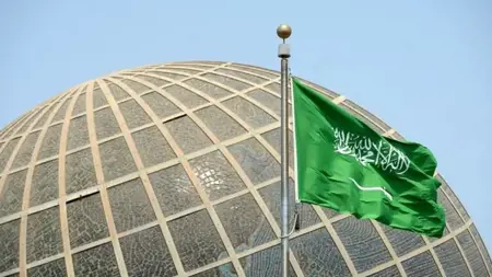 السعودية تحذر من جمع الجراد وأكله السعودية تحذر من جمع الجراد وأكله