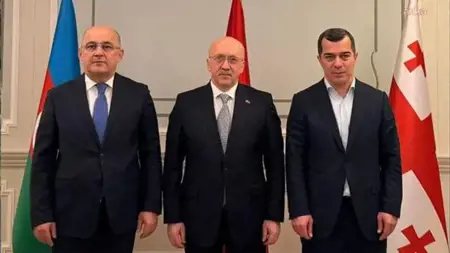 قمة جمركية تركيا وأذربيجان وجورجيا لتعزيز التعاون الاقتصادي قمة جمركية تركيا وأذربيجان وجورجيا لتعزيز التعاون الاقتصادي