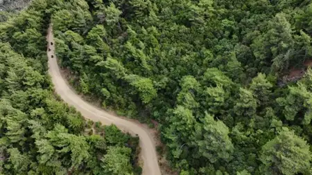 حظر الدخول إلى مناطق الغابات في إزمير لمدة 5 أشهر