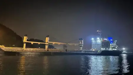 تعطل حركة السفن في مضيق البوسفور بسبب جنوح سفينة من أوكرانيا