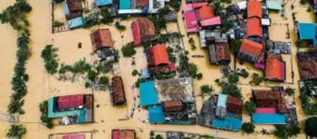 كيف تحولت الأزمات إلى فرص للنمو؟