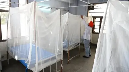 "فيروس الصلع" الغامض يتسبب في حالة من الذعر في الهند "فيروس الصلع" الغامض يتسبب في حالة من الذعر في الهند