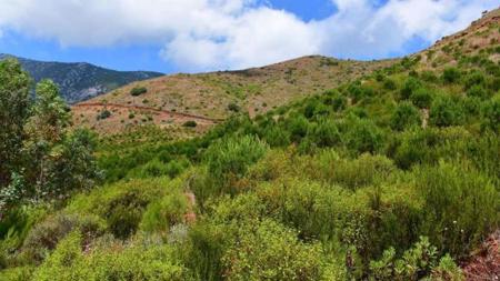 حظر الشواء في مناطق الغابات في بورصة شمال غرب تركيا